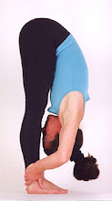 Uttanasana--Standing Forward Bend