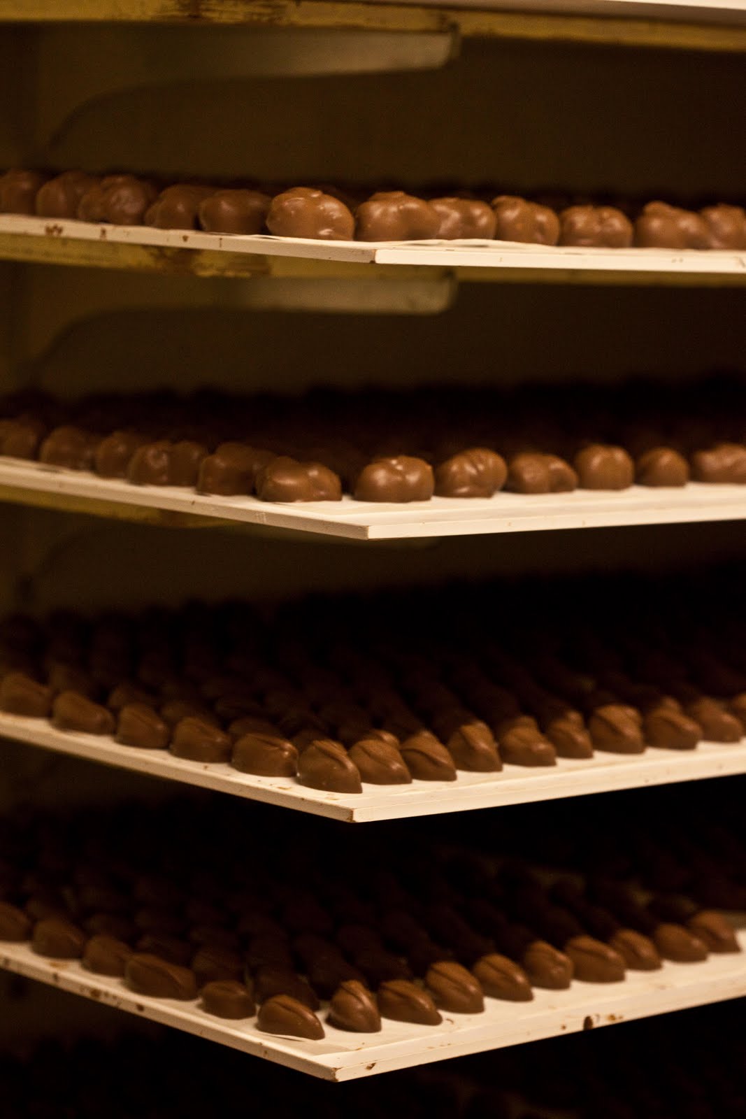 Montana Eats Behind the Scenes The Parrot Helena, MT