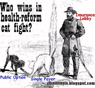 Health-reform cat fight | illinillinois.blogspot.com