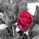 My photo