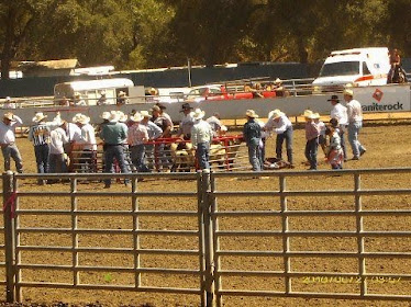Mutton Busting Event...