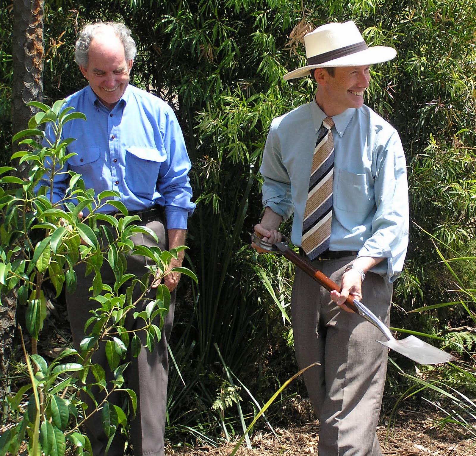 World's Trees Fail to Soak Up Carbon Pollution