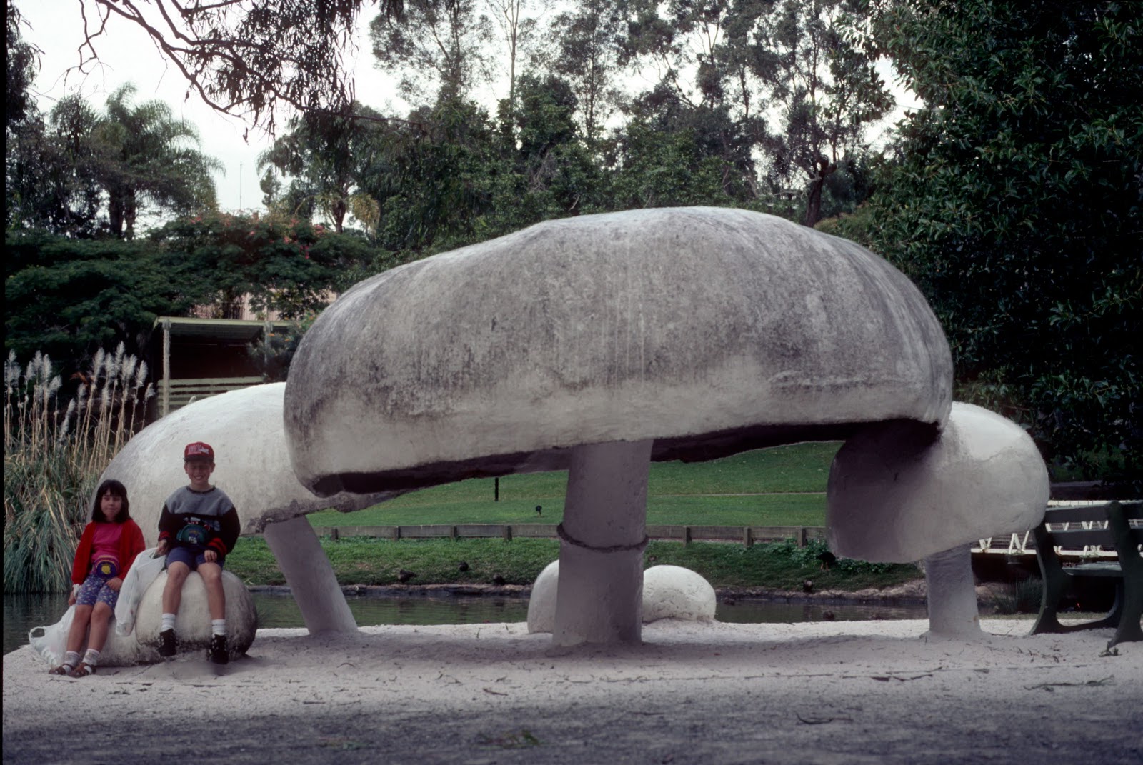 Самые тяжелые организмы. Самый гигантский гриб в мире. Самый большой гриб в мире Орегон. Гриб Армиллярия Мичиган. Самый большой гриб гигант в мире.
