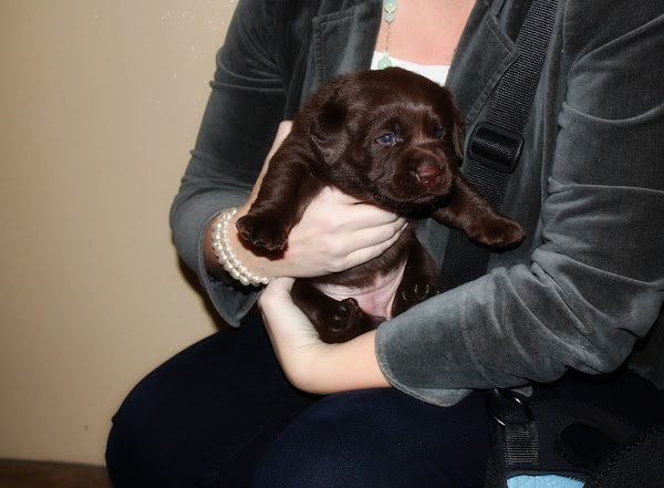 Maddie_3weeks
