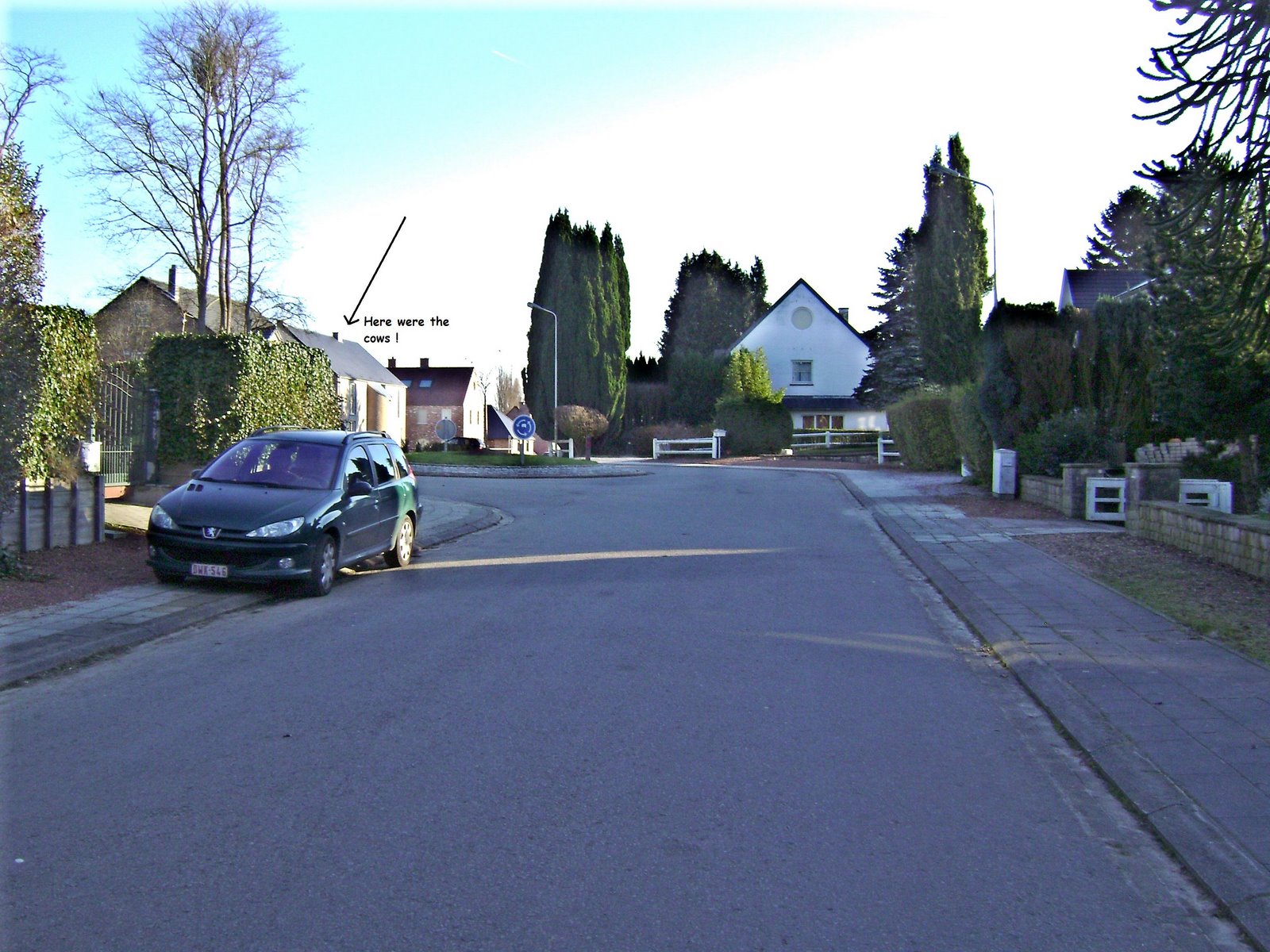 [File+131+019+with+text.JPG]