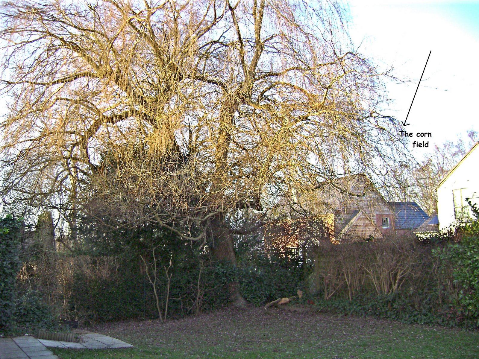 [File+131+022+with+text.JPG]