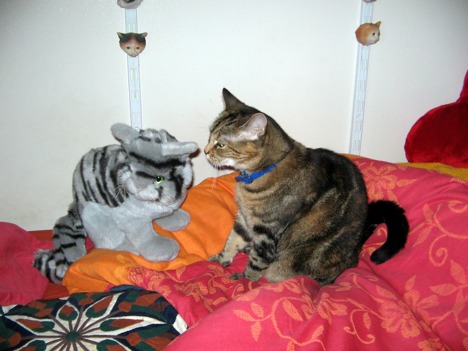 [Pookie+2006+002.jpg]