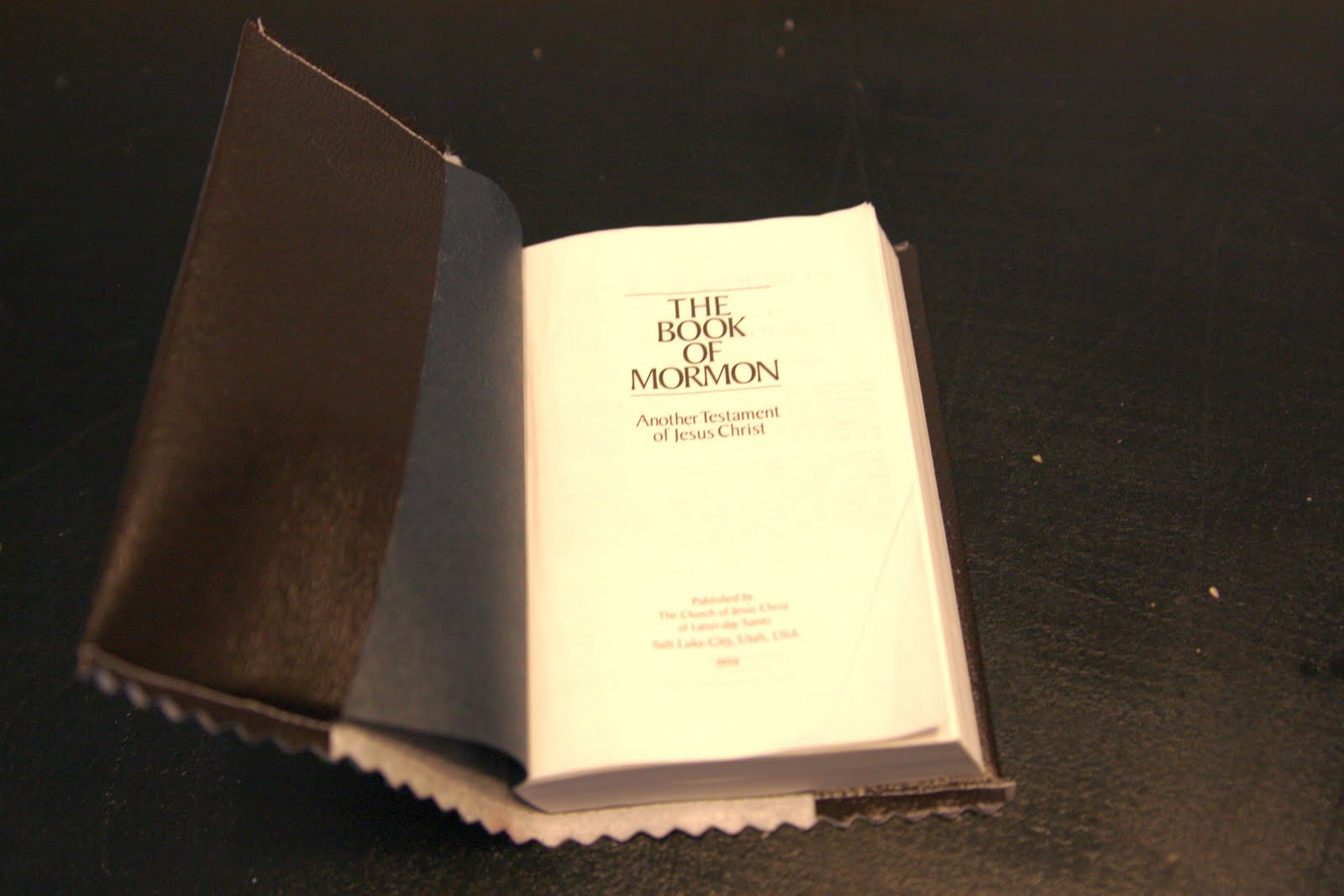 Thisnthat; a little crafting Vinyl Book Cover