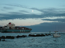 The Mayport Jetties. The Jettywolf's home