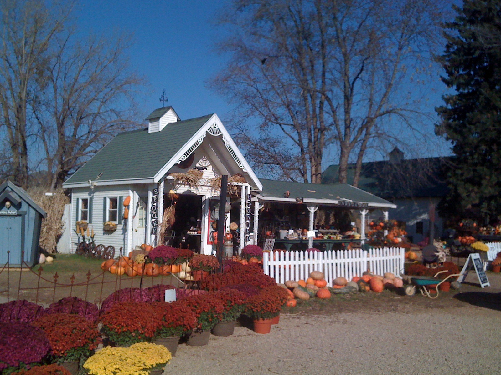 Roots and Zest: Marshall's Farm Market