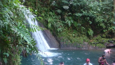 [DSC07042.JPG]