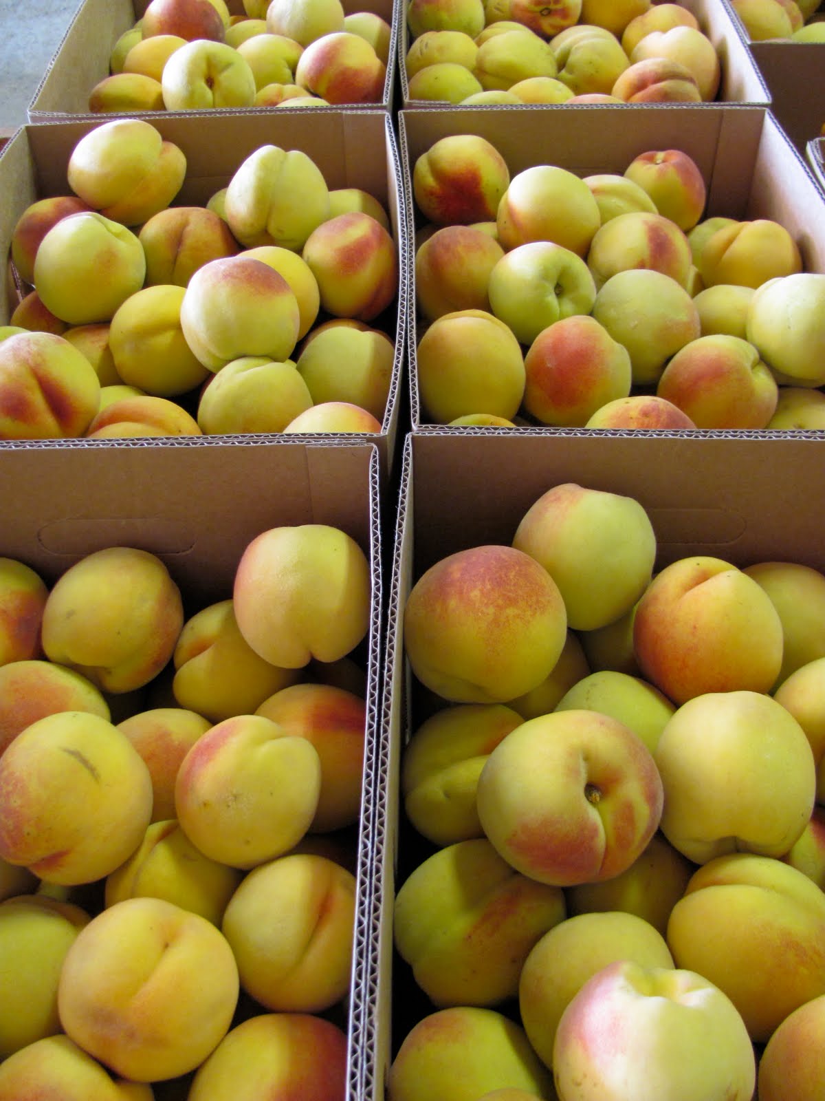 Buttermilk Farm Elberta peaches!