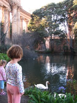 [palace_swans.jpg]