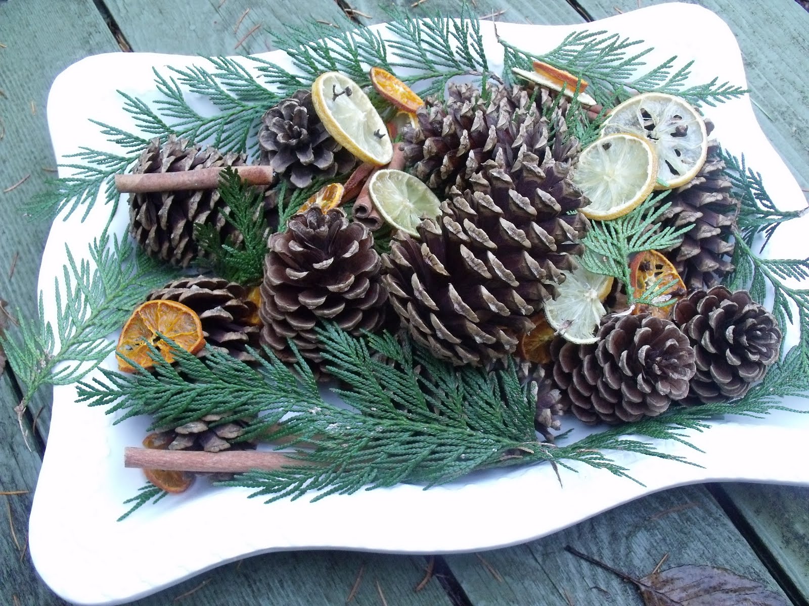 Pinecone pinecone citrus potpourri