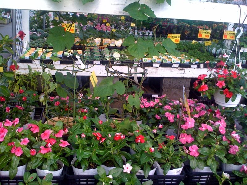 FUJI CITY NOTEBOOK Jumbo Encho home center