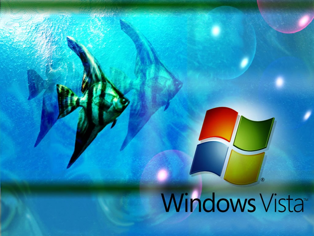 http://4.bp.blogspot.com/_opgzc6WFQ9s/TQ03w6iRpQI/AAAAAAAABQ0/9ymwH4oZKLc/s1600/Windows_Vista_Aqua.jpg