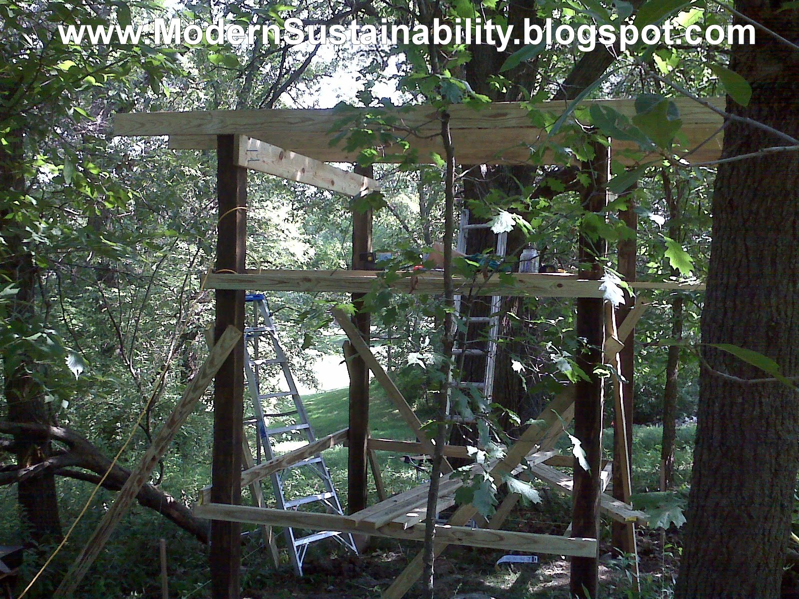Modern Sustainability...oldfashioned methods How to build a tree