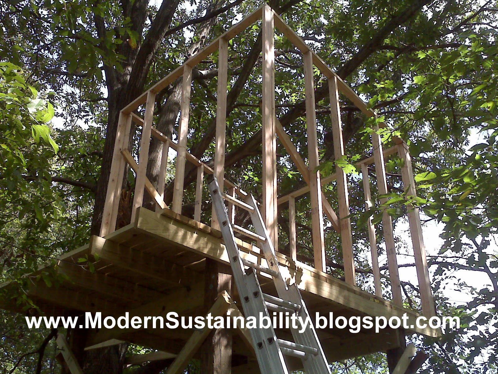 Modern Sustainability...oldfashioned methods How to build a tree