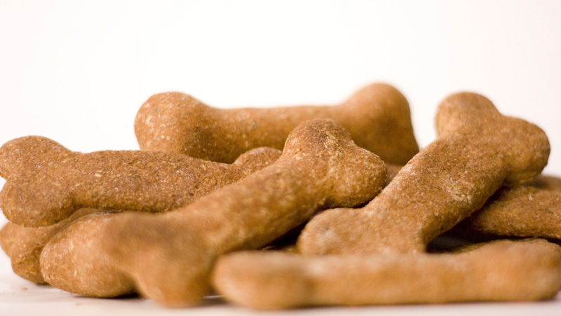 [doggydelightlghtzbonezssm.jpg]