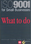 ISO 9000 for small and tiny organizations