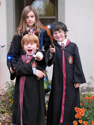 hermione ron weasley harry granger potter costumes halloween fam wizards williams watched expert planning ve been they perfect movies