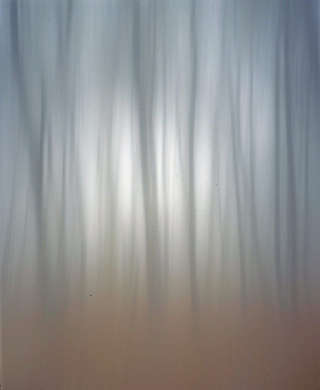 [ARVORES-ARVORES-ALVÃƒO145.jpg]