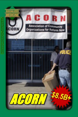 [090817-acorn2s.jpg]