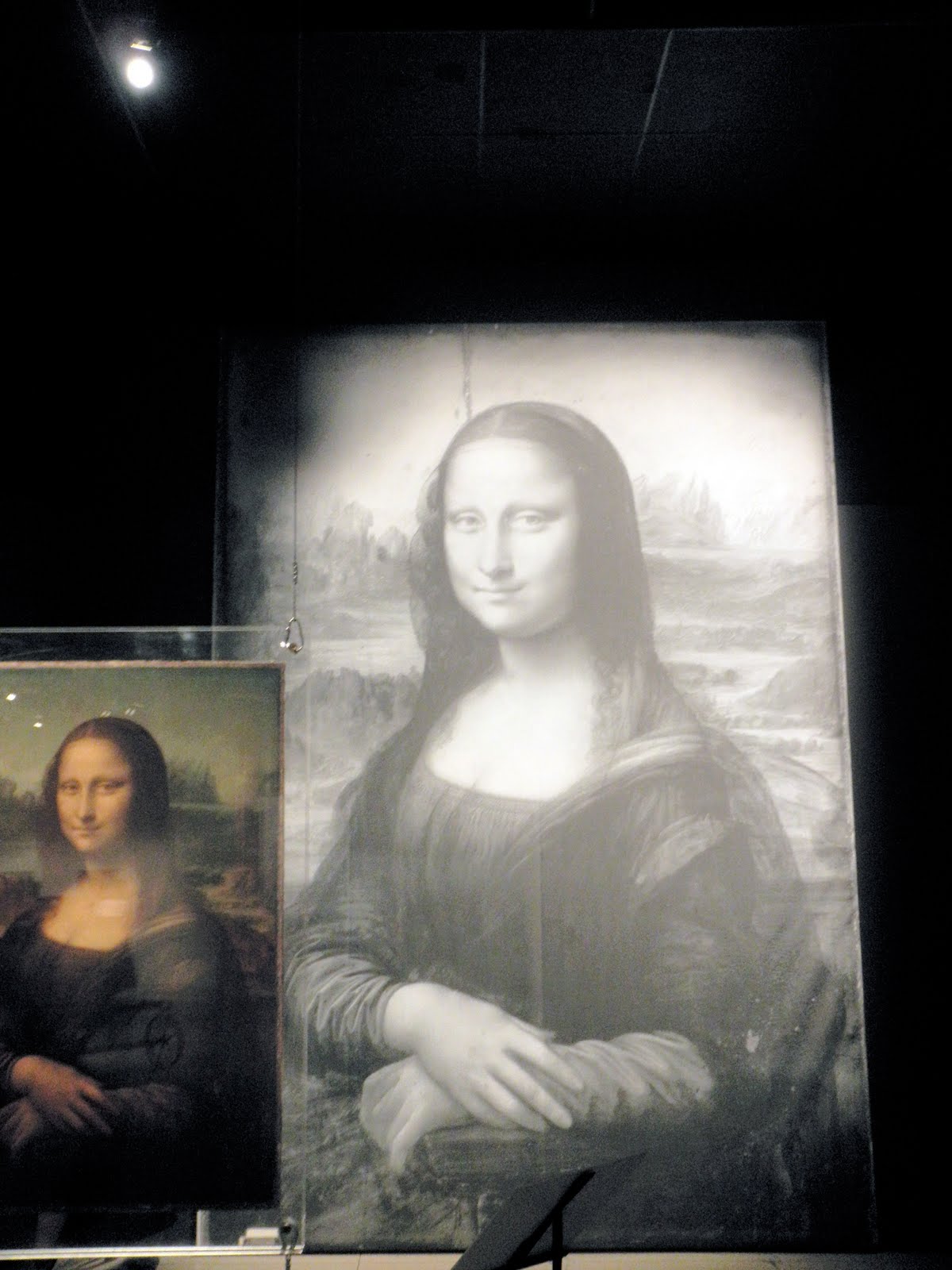 Washington Academic Internship Program The Secrets Of The Mona Lisa