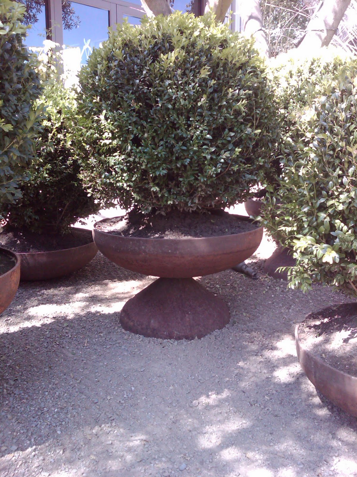 [IMG00535-20090920-1239.jpg]