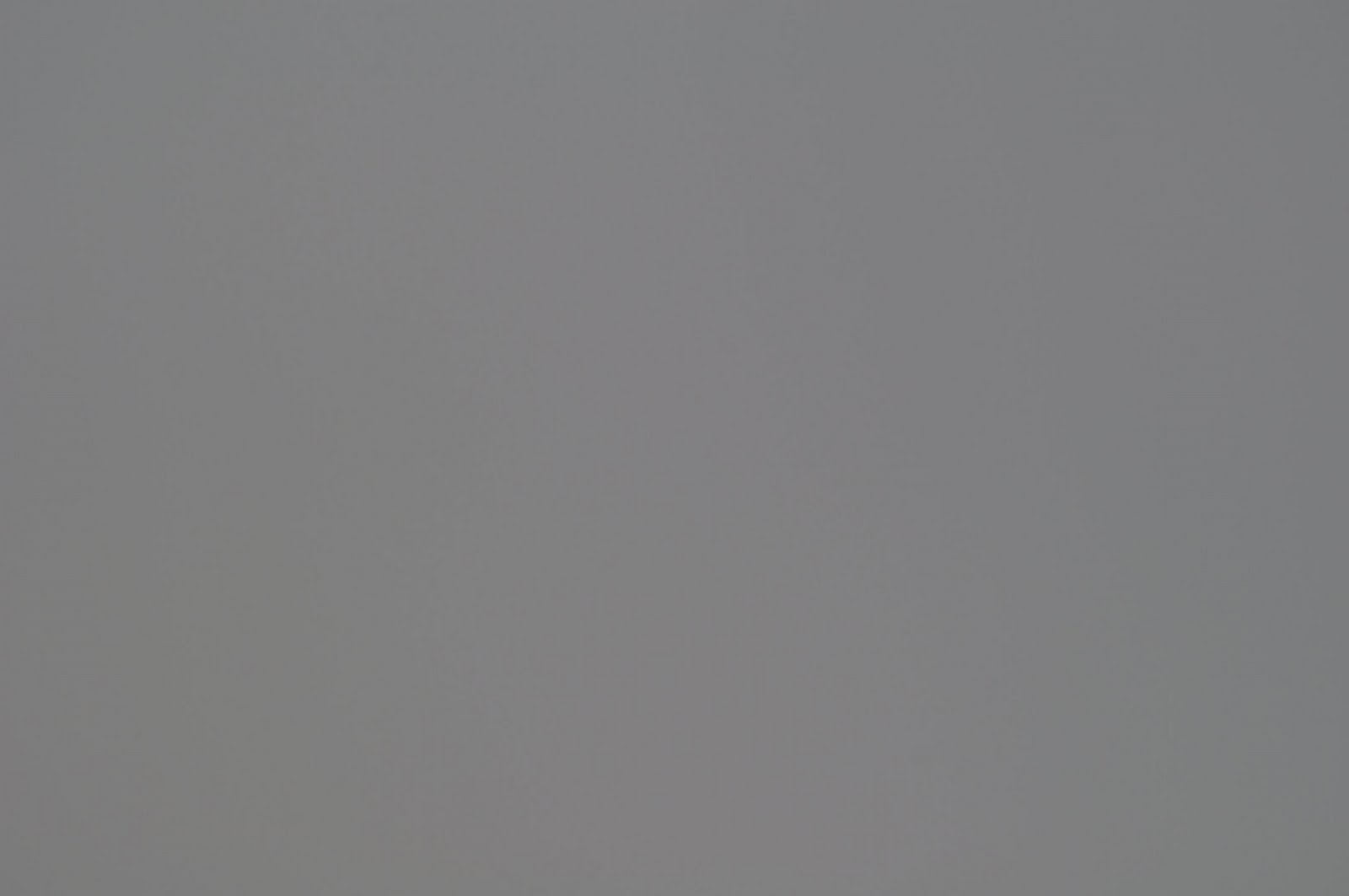 CSC_4196.JPG