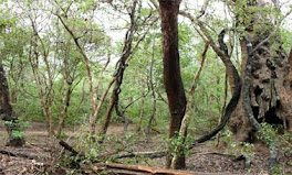 Lahugala National Park