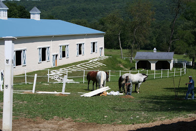 MAKE A HORSE CORRAL WITH THIS SIMPLE FENCE DESIGN - MODERN