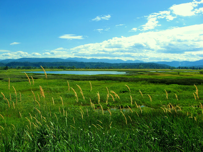 Greenfield Naturals, LLC