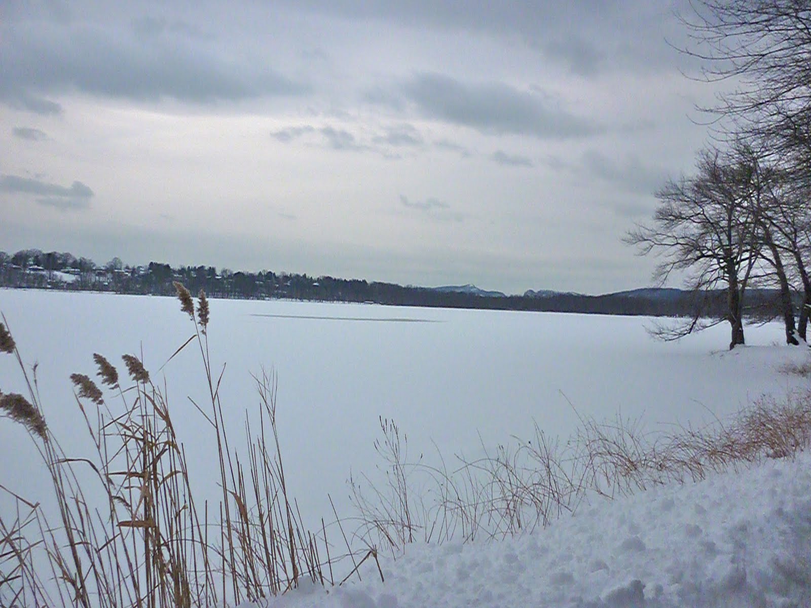 Nyack Snap Rockland Lake