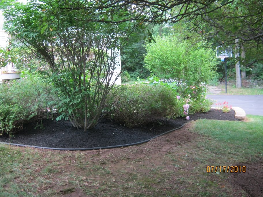 Bryk City Landscaping Bush Trimming, Edging, Mulch, Landscaping in