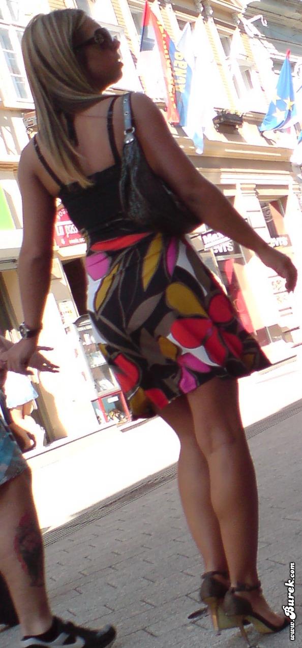 [street+calves+4.jpg]