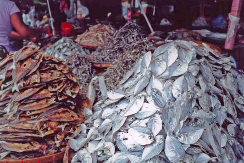 [Dried_fish.jpg]