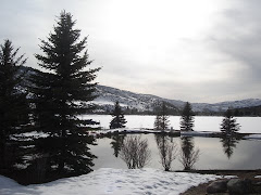 My afternoon walk in Avon