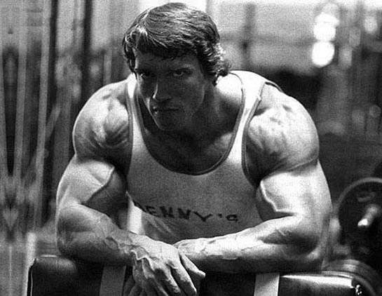 arnold schwarzenegger bodybuilding diet. by Arnold Schwarzenegger, Type