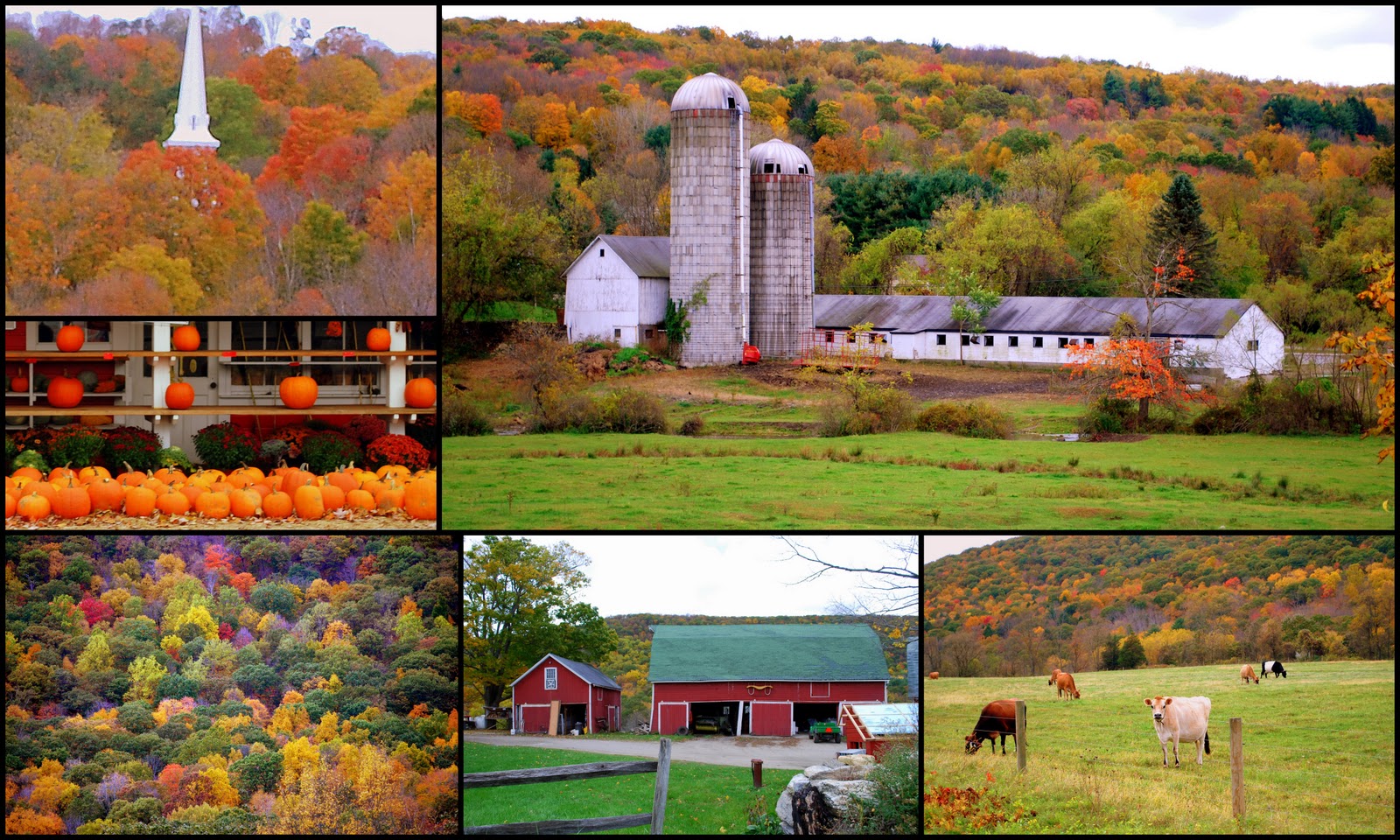 Mille Fiori Favoriti Top Foliage Town? Kent, Connecticut