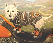 Pet Portrait Westie on Harley Davidson