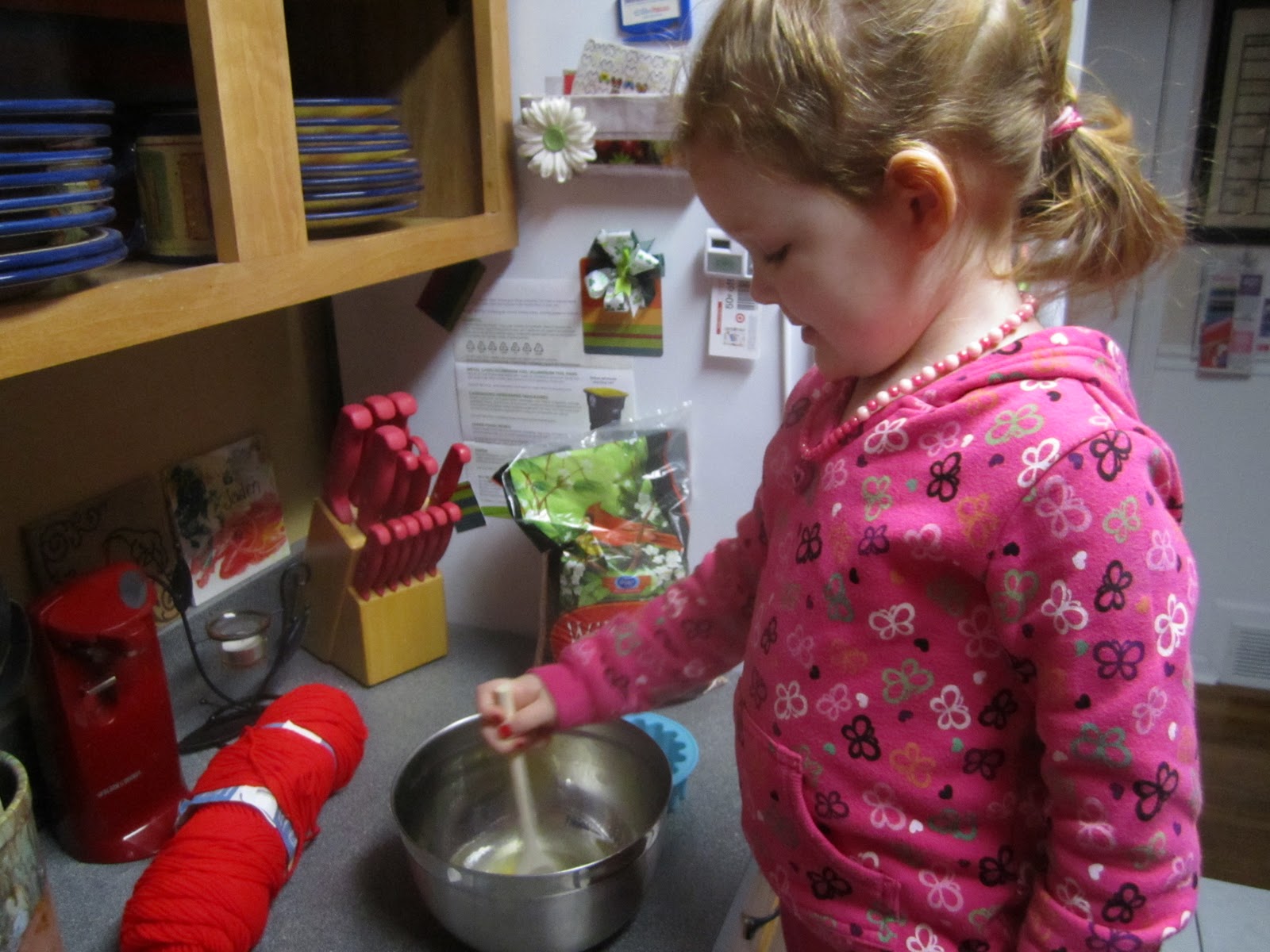 Living My Life On Purpose Bird Seed Cakes