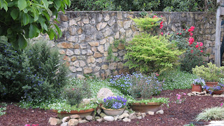 Diario de mi jardín: MI JARDÍN