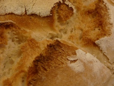 cuando era pequeño, las grietas del pan me parecían mundos fantásticos