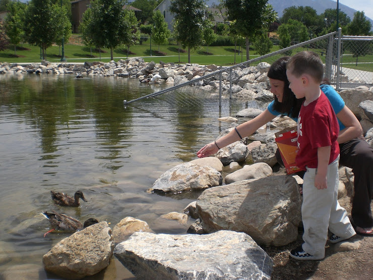 Feeding The Ducks And Geese And Everything Else...