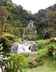EJE CAFETERO -COLOMBIA