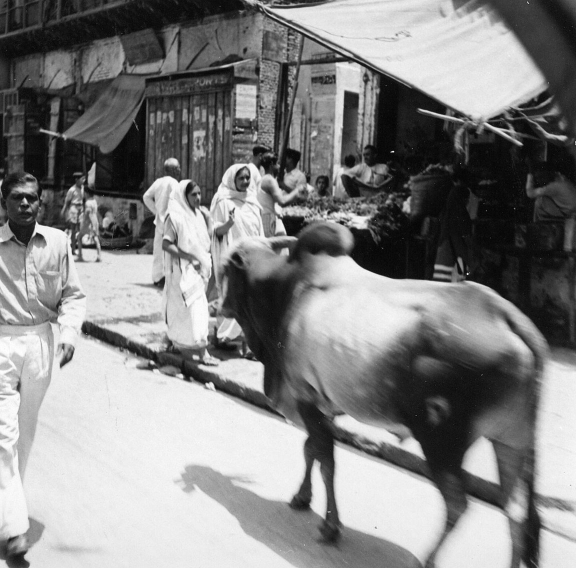Streets of Old Delhi - 1954