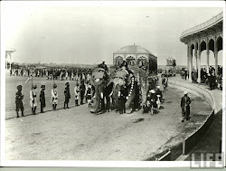 Delhi Durbar of 1903