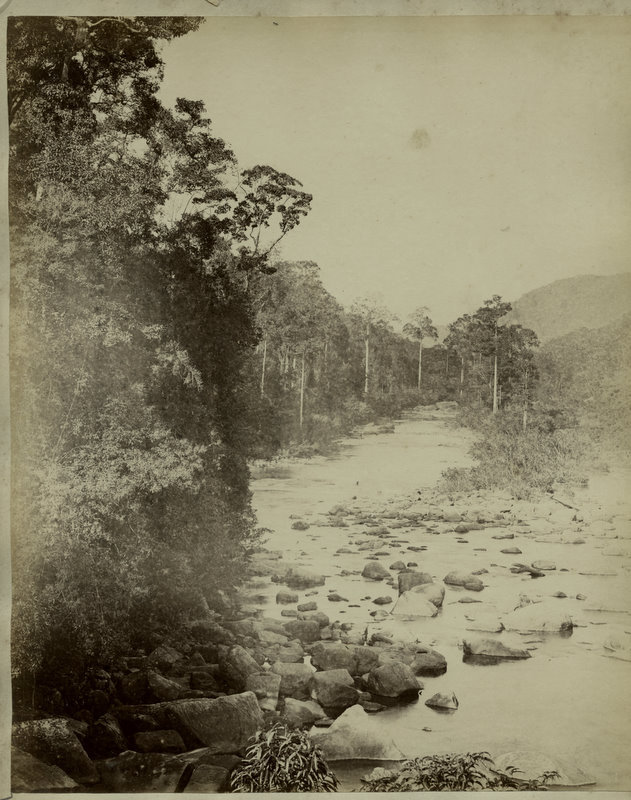 Rocky River Bed