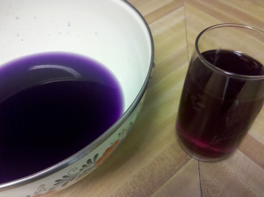 Breaking Taboo Red Cabbage Gender Test